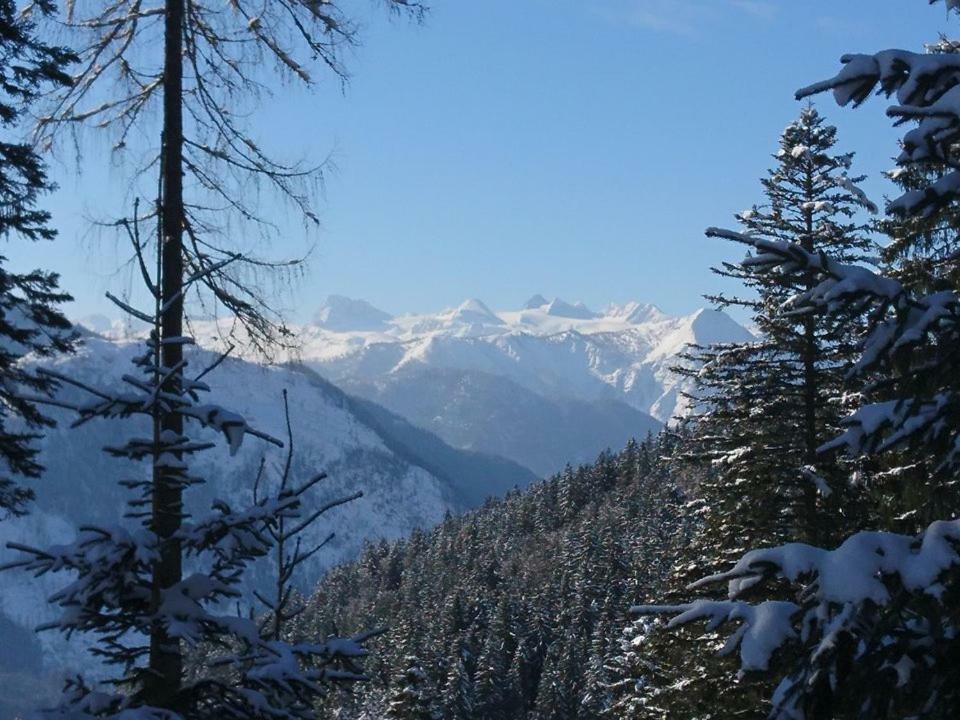 Sportpension Schober Obertraun Exterior foto