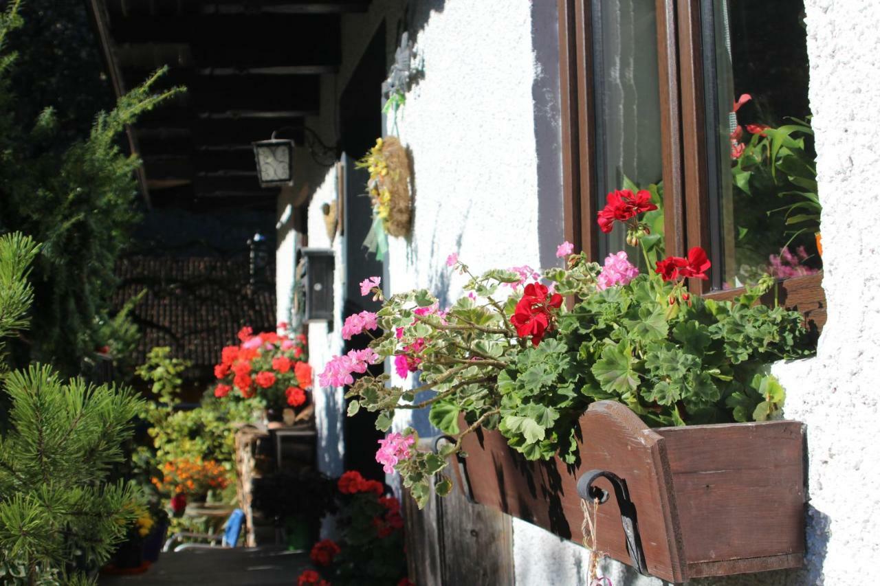 Sportpension Schober Obertraun Exterior foto
